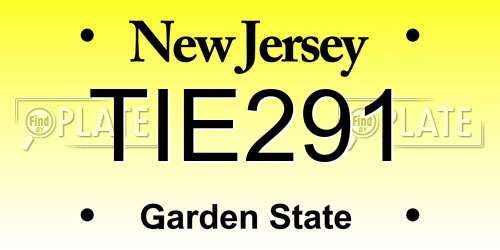 TIE291 New Jersey License Plate