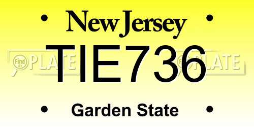 TIE736 New Jersey License Plate