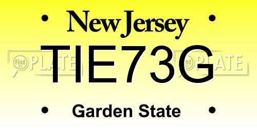 TIE73G New Jersey License Plate