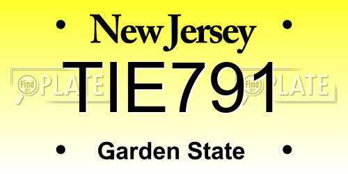 TIE791 New Jersey License Plate