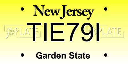 TIE79I New Jersey License Plate