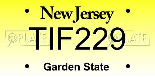 TIF229 New Jersey License Plate