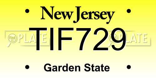 TIF729 New Jersey License Plate