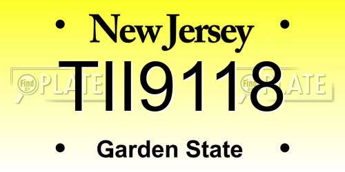 TII9118 New Jersey License Plate