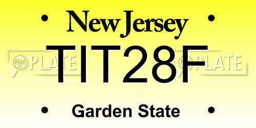 TIT28F New Jersey License Plate