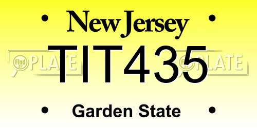 TIT435 New Jersey License Plate