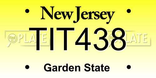 TIT438 New Jersey License Plate
