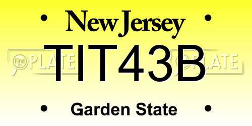 TIT43B New Jersey License Plate