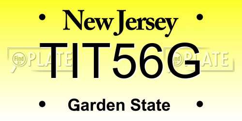 TIT56G New Jersey License Plate