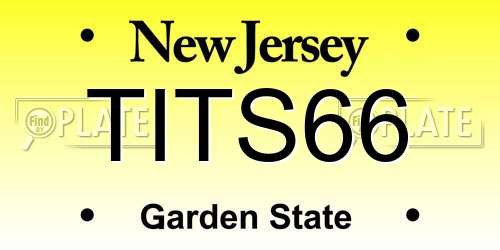 TITS66 New Jersey License Plate