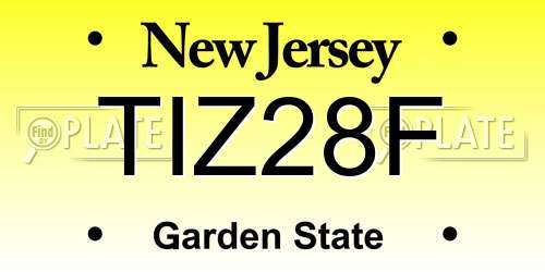 TIZ28F New Jersey License Plate