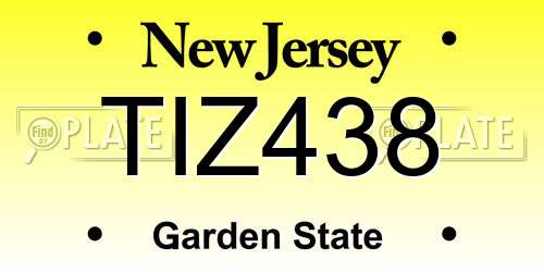 TIZ438 New Jersey License Plate