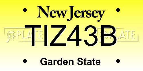 TIZ43B New Jersey License Plate