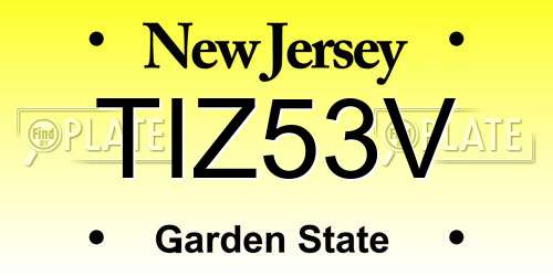 TIZ53V New Jersey License Plate