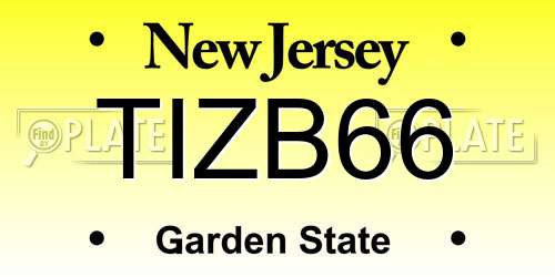 TIZB66 New Jersey License Plate