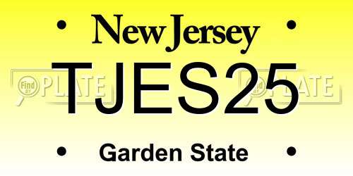 TJES25 New Jersey License Plate