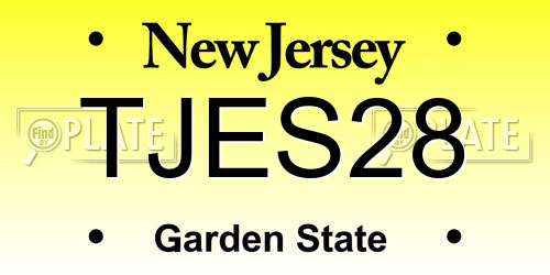 TJES28 New Jersey License Plate