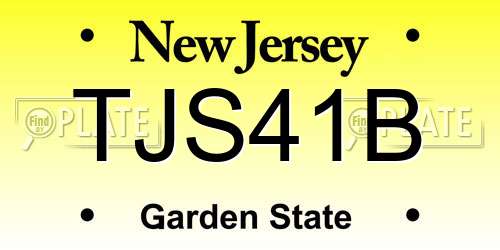 TJS41B New Jersey License Plate