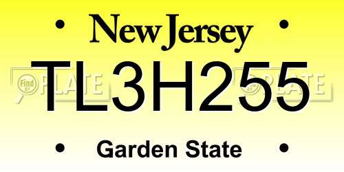 TL3H255 New Jersey License Plate