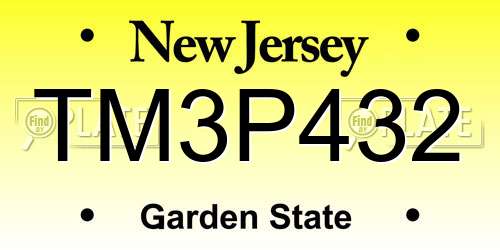 TM3P432 New Jersey License Plate