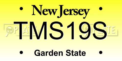 TMS19S New Jersey License Plate