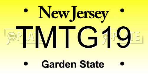 TMTG19 New Jersey License Plate