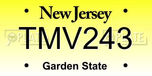 TMV243 New Jersey License Plate