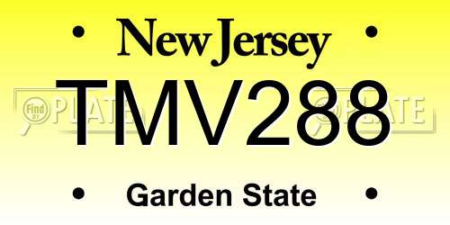 TMV288 New Jersey License Plate
