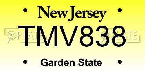 TMV838 New Jersey License Plate