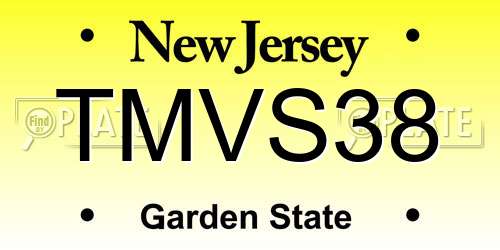 TMVS38 New Jersey License Plate