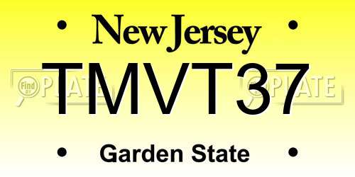 TMVT37 New Jersey License Plate