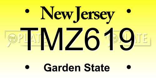 TMZ619 New Jersey License Plate