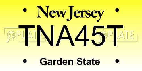 TNA45T New Jersey License Plate