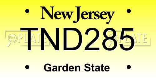 TND285 New Jersey License Plate