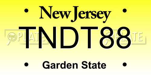 TNDT88 New Jersey License Plate