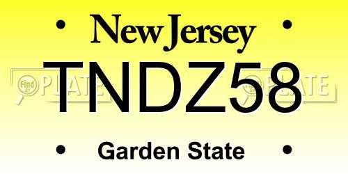 TNDZ58 New Jersey License Plate