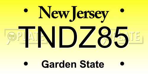 TNDZ85 New Jersey License Plate