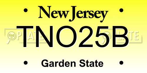 TNO25B New Jersey License Plate