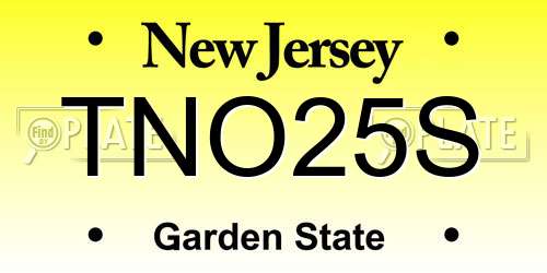 TNO25S New Jersey License Plate