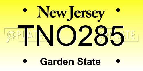 TNO285 New Jersey License Plate