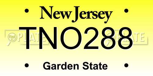 TNO288 New Jersey License Plate