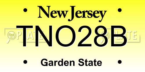 TNO28B New Jersey License Plate