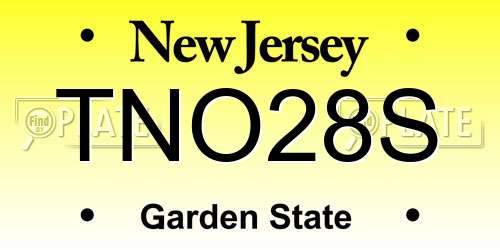 TNO28S New Jersey License Plate