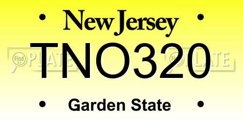 TNO320 New Jersey License Plate