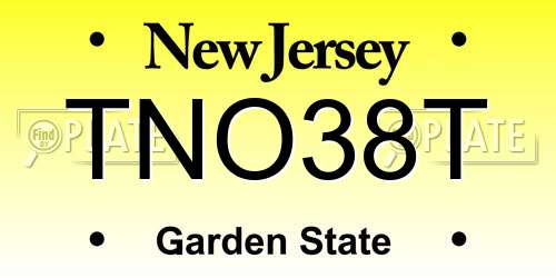 TNO38T New Jersey License Plate