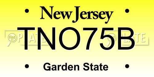 TNO75B New Jersey License Plate