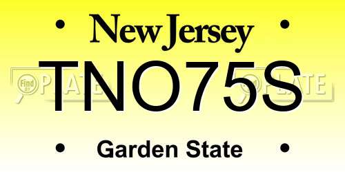 TNO75S New Jersey License Plate