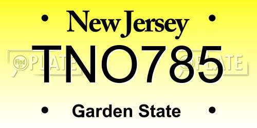 TNO785 New Jersey License Plate
