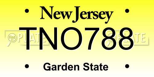TNO788 New Jersey License Plate