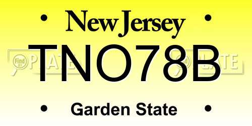 TNO78B New Jersey License Plate